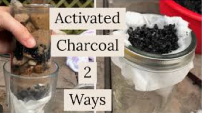 What is the Role of Charcoal in Water Purification