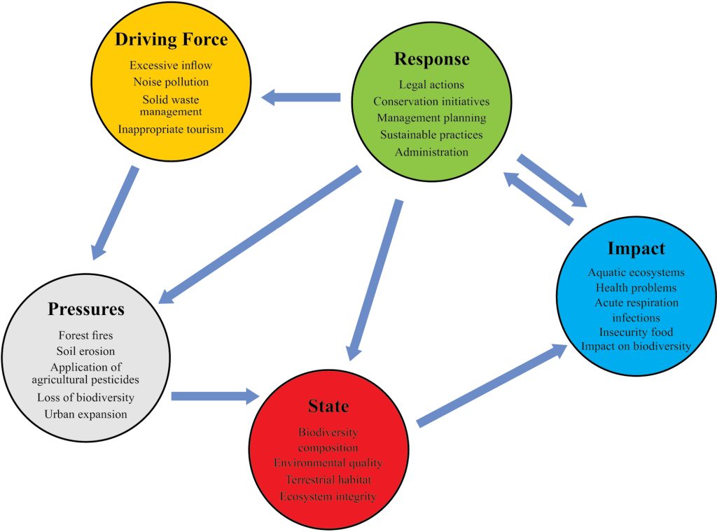 Are Important Areas of Water Purification And Soil Erosion Control