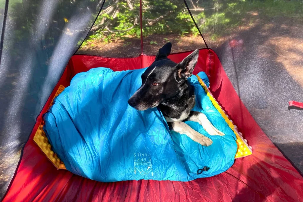 Do Huskies Cold Sleep Bag Blanket Camping Tent
