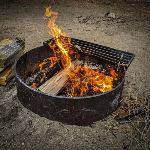 Will Building a Campfire Make Wood Catch Fire